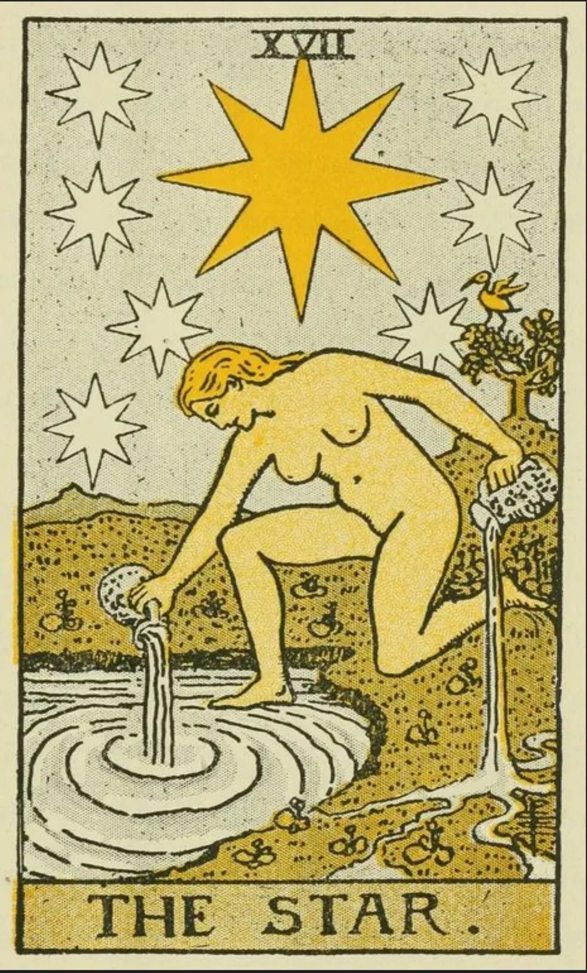 La estrella